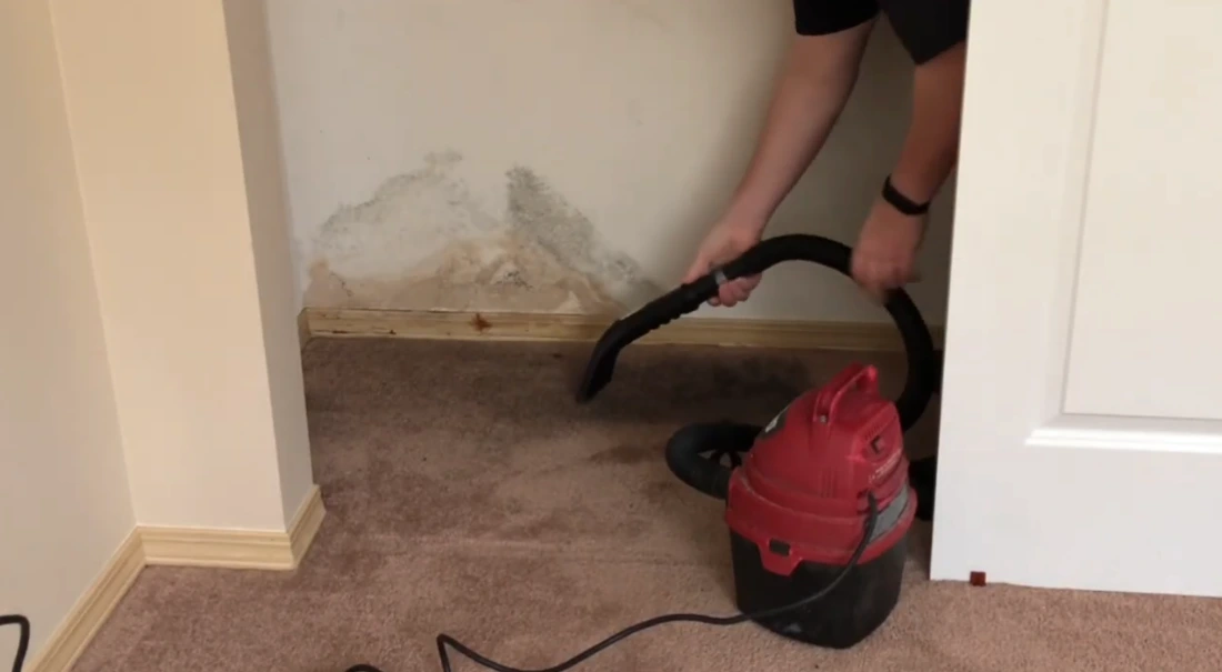 Wet carpet backing &mdash; mold risk from improper carpet cleaning technique in Medford Oregon homes