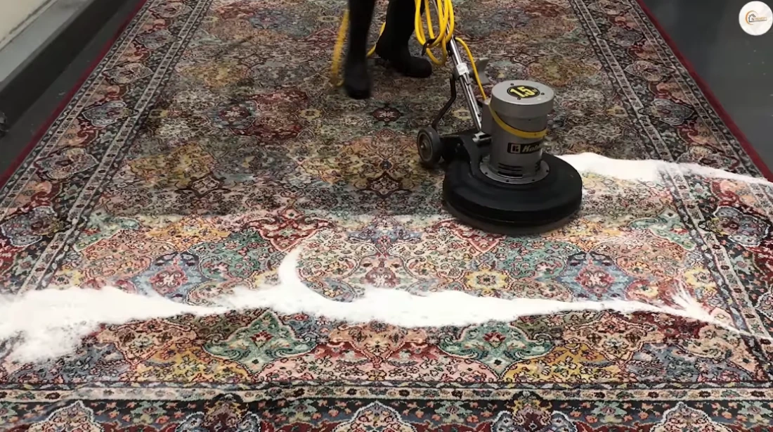 Property management carpet inspection in Medford Oregon &mdash; systematic carpet cleaning for Jackson County landlords